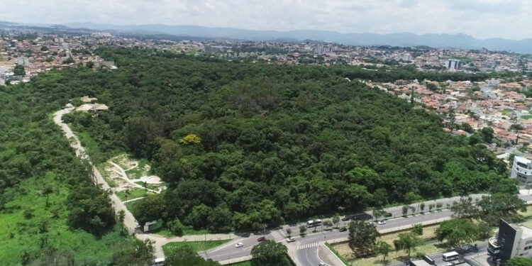 Foto: Prefeitura de Betim