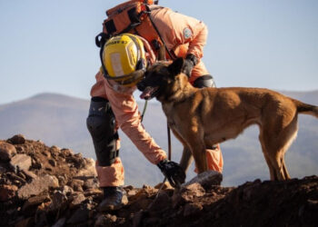 Foto: Bombeiros/Divulgação