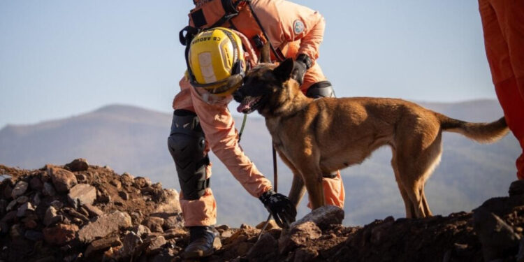 Foto: Bombeiros/Divulgação