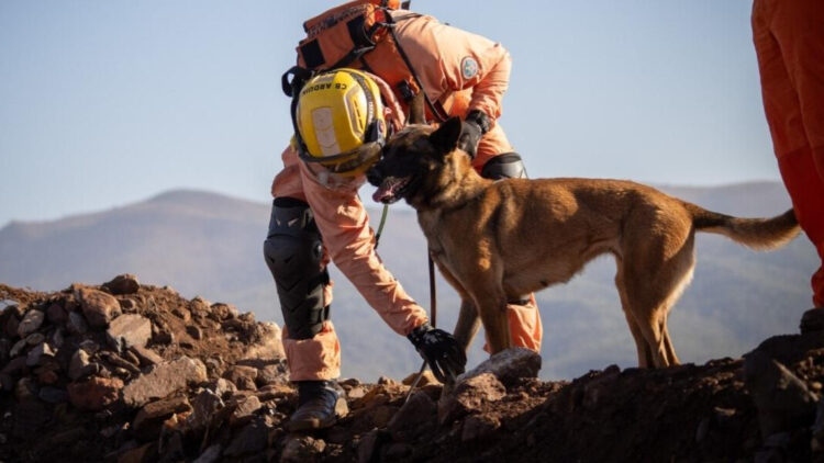 Foto: Bombeiros/Divulgação