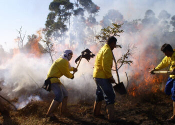 Foto: Sisema/Divulgação