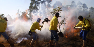 Foto: Sisema/Divulgação