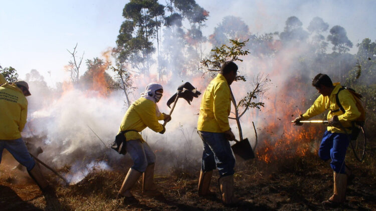 Foto: Sisema/Divulgação