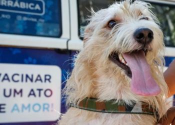 Foto: Vigilância Sanitária RJ/Divulgação