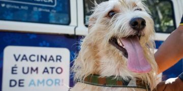 Foto: Vigilância Sanitária RJ/Divulgação