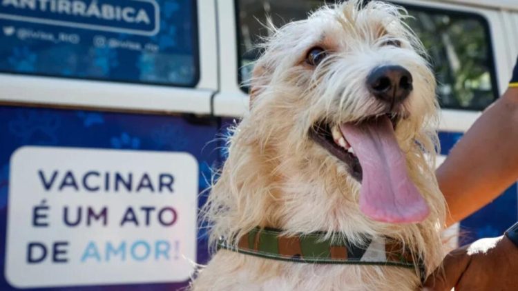 Foto: Vigilância Sanitária RJ/Divulgação