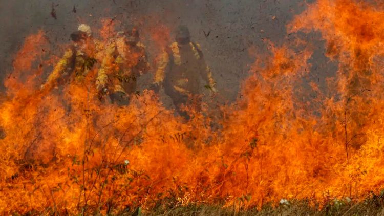 Foto: Joédson Alves/Agência Brasil