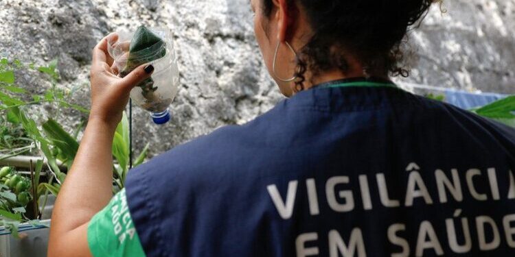 Foto: PMB/Divulgação