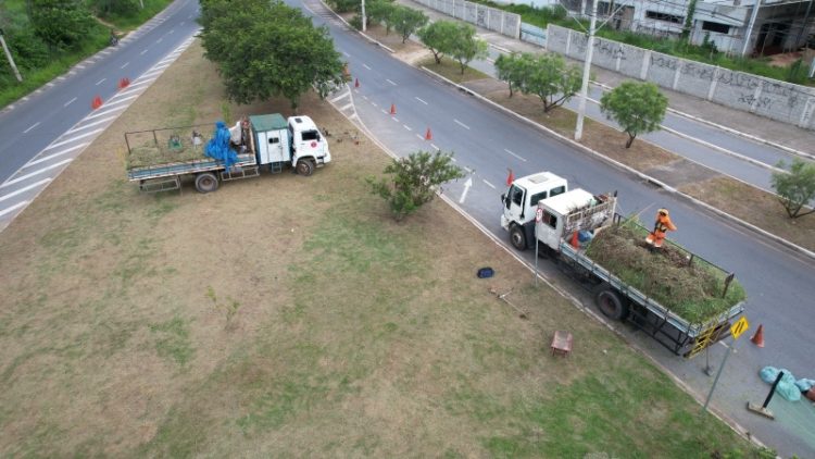 Foto: PMB/Divulgação